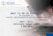 WHAT IS ON IN BRUSSELS? An overview of current and prospective policy initiatives EMLO – Malta Christophe Tytgat – ECSA 8 May 2014