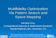 Multifidelity Optimization Via Pattern Search and Space Mapping Genetha Gray Computational Sciences & Mathematics Research Sandia National Labs, Livermore,