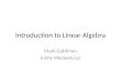 Introduction to Linear Algebra Mark Goldman Emily Mackevicius