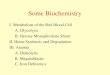 Some Biochemistry I. Metabolism of the Red Blood Cell A. Glycolysis B. Hexose Monophoshate Shunt II. Heme Synthesis and Degradation III. Anemia A. Hemolytic