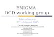 ENIGMA OCD working group Teleconference 27 th of August 2015 1 PM GMT (Greenwich Mean Time) Amsterdam/Barcelona/Berlin/Milan/Munich/Rome/Zurich 3 PM Sao