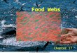 1 1 Food Webs Chapter 17. 2 2 Outline Community Webs  Complexity and Structure Keystone Species  Effects on Diversity Exotic Predators Mutualistic Keystones