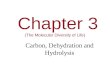 Chapter 3 (The Molecular Diversity of Life) Carbon, Dehydration and Hydrolysis
