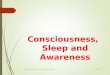 Consciousness, Sleep and Awareness 12/16/2015 Psychology for Nurses by Arnel Banaga Salgado 1