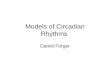 Models of Circadian Rhythms Daniel Forger. ~24-hour Clocks time important events