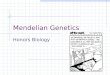 Mendelian Genetics Honors Biology. Pre-Mendelian Theory of Heredity Blending Theory—hereditary material from each parent mixes in the offspring Individuals