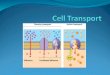 Passive Transport- The movement of materials across the cell membrane without using cellular energy. Diffusion- Process by which particles move from an