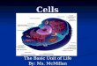 Cells Cells The Basic Unit of Life By: Ms. McMillan