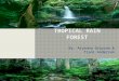 By: Aryanna Grayson & Tiani Anderson.  A tropical rainforest is a biome type that occurs roughly within the latitudes 28 degrees north or south of the