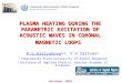 PLASMA HEATING DURING THE PARAMETRIC EXCITATION OF ACOUSTIC WAVES IN CORONAL MAGNETIC LOOPS K.G.Kislyakova 1,2, V.V.Zaitsev 2 1 Lobachevsky State University