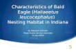Characteristics of Bald Eagle ( Haliaeetus leucocephalus ) Nesting Habitat in Indiana by Rebekah Zehnder Texas Forest Service Interview 12 July 2012
