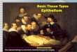 Basic Tissue Types Epithelium The Anatomy Lecture of Dr. Nicolaes Tulp - Rembrandt (1632) The Cadaver belongs to Aris Kindt 1/16/1632 Hanged for burglary