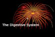 The Digestive System Digestion The process of changing complex solid foods into simpler soluble forms which can be absorbed by body cells