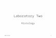 12/17/20151 Laboratory Two Histology. 12/17/20152 Histology Study of structure and function of tissues – Groups of cells that are structurally and functionally