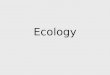 Ecology. –the scientific study of interactions among organisms and their environment Ecology Nutrition & Energy