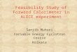 Feasibility Study of Forward Calorimeter in ALICE experiment Sanjib Muhuri Variable Energy Cyclotron Centre Kolkata