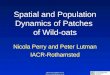 Nicola.Perry@bbsrc.ac.uk Peter.Lutman@bbsrc.ac.uk Spatial and Population Dynamics of Patches of Wild-oats Nicola Perry and Peter Lutman IACR-Rothamsted