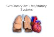 Circulatory and Respiratory Systems. Circulatory System 2 functions 1. Blood delivers nutrients (food) and oxygen to cells so they can function