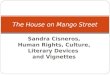 Sandra Cisneros, Human Rights, Culture, Literary Devices and Vignettes The House on Mango Street