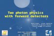 Two photon physics with forward detectors Beata Krupa, Leszek Zawiejski Institute of Nuclear Physics Polish Academy of Sciences 22nd FCAL Collaboration