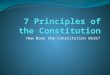 How Does the Constitution Work?. Learning Objective: 1. Students will create visual metaphors to explain the seven principles of the Constitution. 2