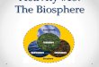 Activity #15: The Biosphere. EQ How do Earth’s biotic and abiotic factors interact to shape ecosystems and affect the survival of organisms over time?