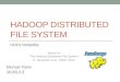 HADOOP DISTRIBUTED FILE SYSTEM HDFS Reliability Based on “The Hadoop Distributed File System” K. Shvachko et al., MSST 2010 Michael Tsitrin 26/05/13
