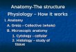 Anatomy-The structure Physiology – How it works A. Gross – Collective (whole) B. Microscopic anatomy 1. Cytology - cellular 2. Histology – study of tissue