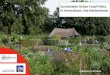Krachten bundelen en versterken voor NME Sustainable Urban Food Policy in Amersfoort, the Netherlands