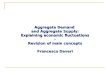 Aggregate Demand and Aggregate Supply: Explaining economic fluctuations - Revision of main concepts Francesco Daveri