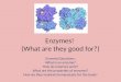 Enzymes! (What are they good for?) Essential Questions: What is an enzyme? How do enzymes work? What are the properties of enzymes? How do they maintain