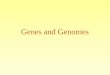Genes and Genomes. Genome On Line Database (GOLD) 243 Published complete genomes 536 Prokaryotic ongoing genomes 434 Eukaryotic ongoing genomes December