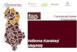 Valbona Karaka §i (dldp/HSI) Functional Areas Programme