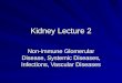 Kidney Lecture 2 Non-immune Glomerular Disease, Systemic Diseases, Infections, Vascular Diseases