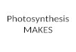 Photosynthesis MAKES. Sugar (Glucose) and Oxygen