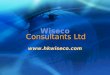 Www.hkwiseco.com Wiseco Consultants Ltd. Sigma Report A Web Reporting for Business and Enterprises