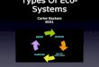Types Of Eco- Systems Carter Backers 8101. Rain Forests