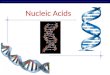 AP Biology Nucleic Acids 2006-2007 Nucleic Acids Function: – store & transmit hereditary information polymers = – RNA (ribonucleic acid) – DNA (deoxyribonucleic