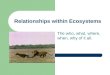 Relationships within Ecosystems The who, what, where, when, why of it all