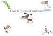Five Groups of Animals Two Kinds of Things on Earth