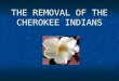 THE REMOVAL OF THE CHEROKEE INDIANS. The Legend of the Cherokee Rose No better symbol exists of the pain and suffering of the "Trail Where They Cried"