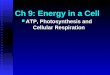 Ch 9: Energy in a Cell ATP, Photosynthesis and Cellular Respiration ATP, Photosynthesis and Cellular Respiration