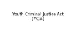 Youth Criminal Justice Act (YCJA). What is the Youth Criminal Justice Act? YCJA, known as the youth criminal act is the law in Canada’s government, concerning