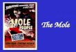 The Mole Standards Standards The Mole 1 dozen = 1 gross = 1 ream = 1 mole = 12 144 500 6.02 x 10 23 There are exactly 12 grams of carbon-12 in one mole