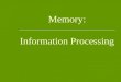 Memory: Information Processing. Information Processing Model 1. Encoding - getting information into the memory system 2. Storage - retaining the information