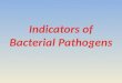 Introduction All pathogenic microorganisms implicated in foodborne diseases are considered enteric pathogens, except S. aureus, B. cereus, C. botulinum