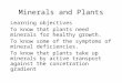 Minerals and Plants Learning objectives To know that plants need minerals for healthy growth. To know some of the symptoms of mineral deficiencies. To