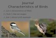 Journal Characteristics of Birds 1. List 6 characteristics of Birds. 2. Circle 2 that are unique. 3. Star 2 shared with mammals