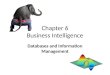 Chapter 6 Business Intelligence Databases and Information Management