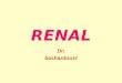 RENAL Dr; bashardoust. Glomerular Filtration Renal blood flow = 1.2 L/min Renal plasma flow = 700 ml/min (60 % of RBF) GFR = 125 ml/min = 180 L/day filtered